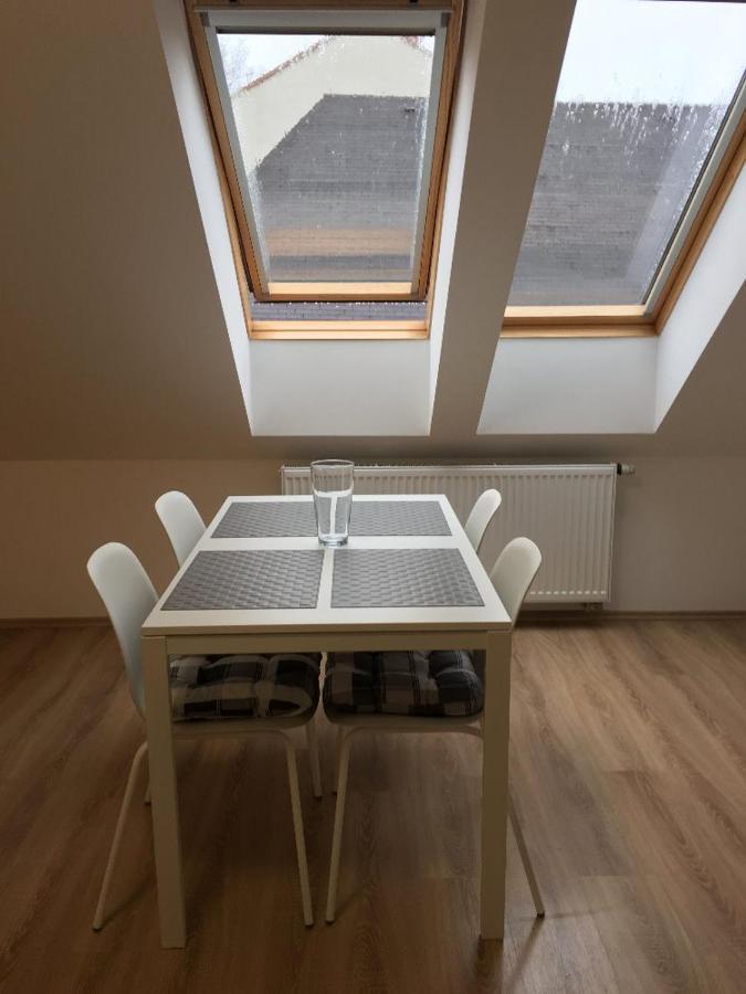 Apartman Kamenice 利帕河畔卡梅尼采 外观 照片