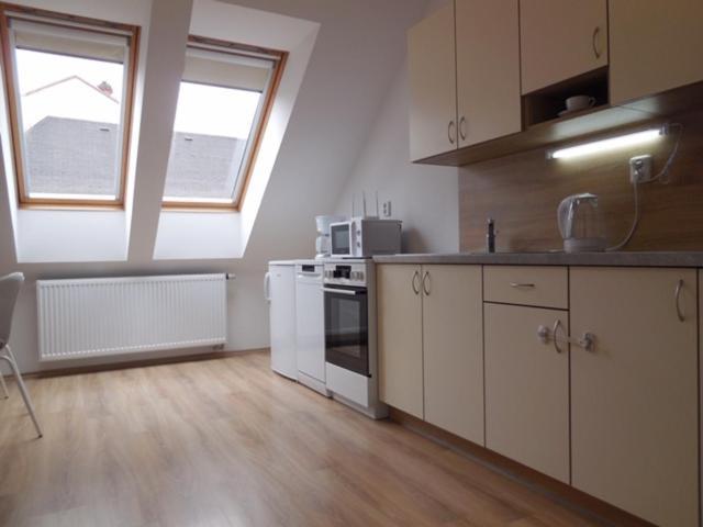 Apartman Kamenice 利帕河畔卡梅尼采 外观 照片