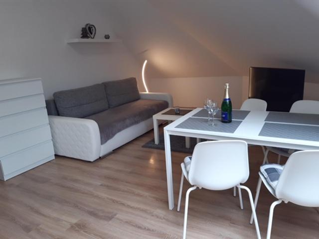 Apartman Kamenice 利帕河畔卡梅尼采 外观 照片