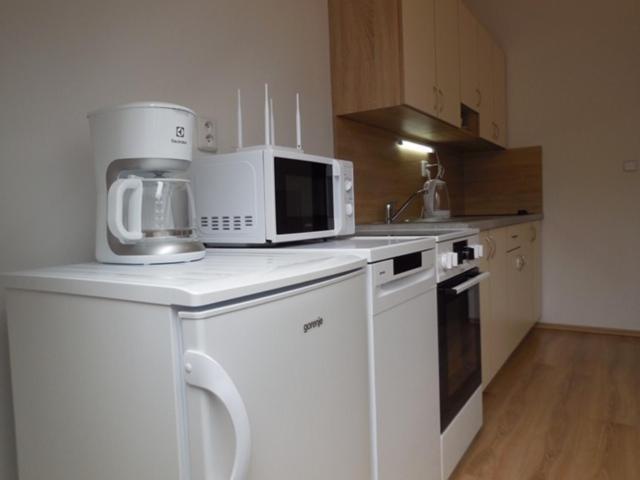 Apartman Kamenice 利帕河畔卡梅尼采 外观 照片