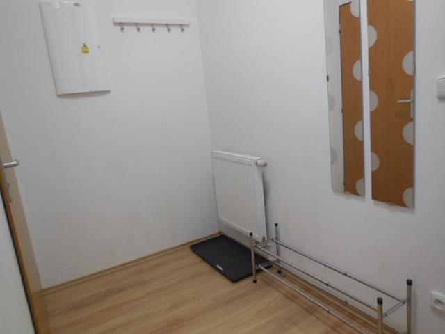 Apartman Kamenice 利帕河畔卡梅尼采 外观 照片